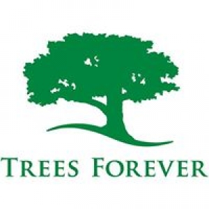 Trees Forever