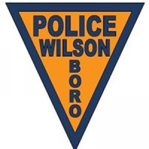 City Government Wilson Borough