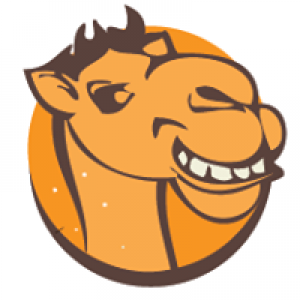 Camel Hookah