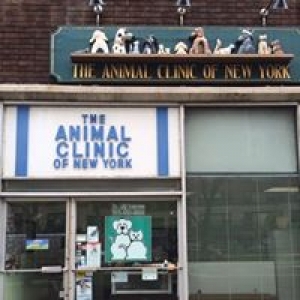 Animal Clinic of New York