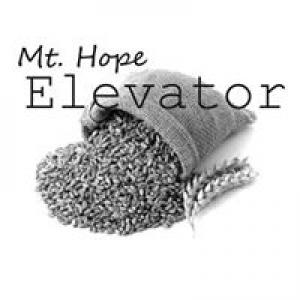 Mt Hope Elevator