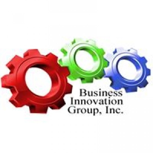 Business Innovation Group