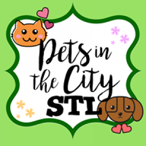 Pets In the City