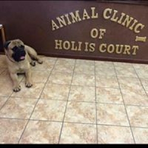 Animal Clinic of Hollis Court