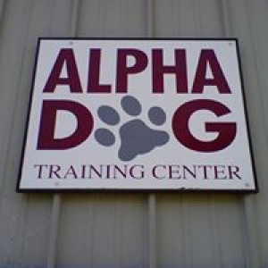Alpha Dog Training Center