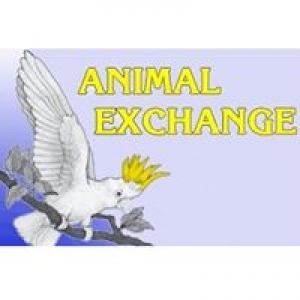 Animal Exchange