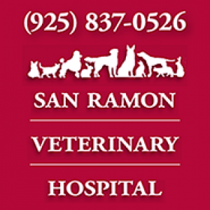 San Ramon Veterinary Hospital