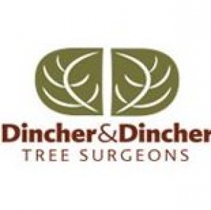 Dincher & Dincher Tree Surgeons