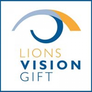 Lionsvisiongift
