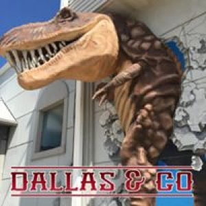 Dallas & Co Costumes & Magic