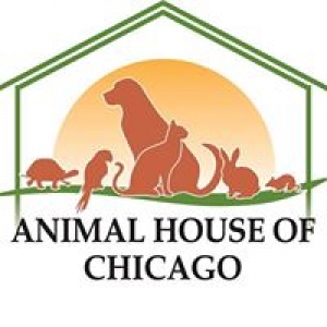 Animal House of Chicago