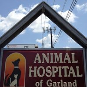 Animal Hospital of Garland Inc