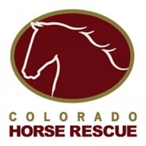 Colorado Horse Rescue