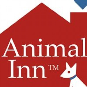 Animal Inn