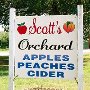 Scott's Orchard