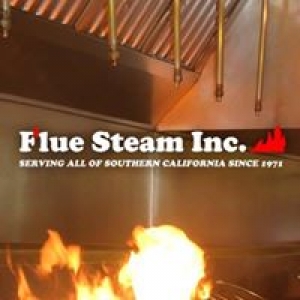 Flue Steam Inc