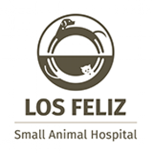 Los Feliz Small Animal Hospital