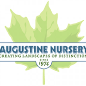 Augustine Nursery