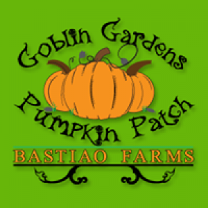 Bastiao Farms Inc.