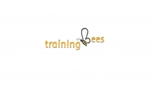 Hadoop online training @ trainingbees.com
