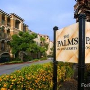 The Palms On University