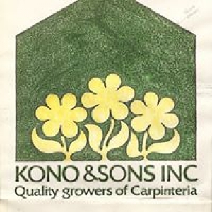 Kono & Sons