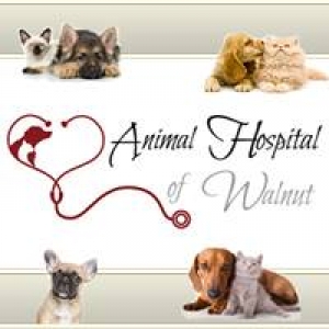 Animal Hospital of Walnut