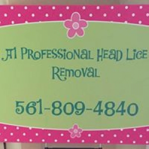 A1 Professional Head Lice Removal LLC