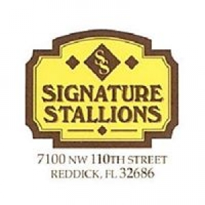 Signature Stallions