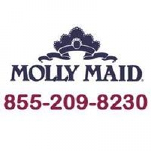 MOLLY MAID of Greater West Houston