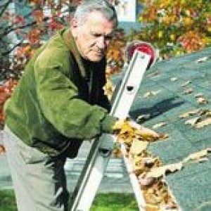 Bucks County Roof Cleaning