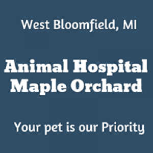 Animal Hospital Maple Orchard