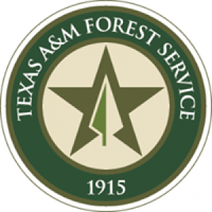 State of Texas Texas Forest Service
