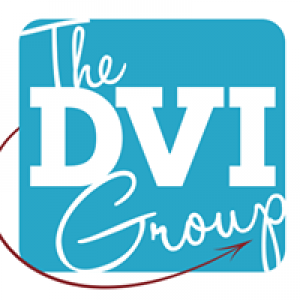 The Dvi Group