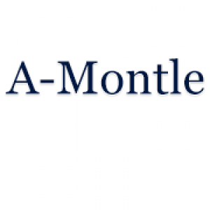 A-Montle Home Improvement Specialists LLC