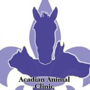 Acadian Animal Clinic