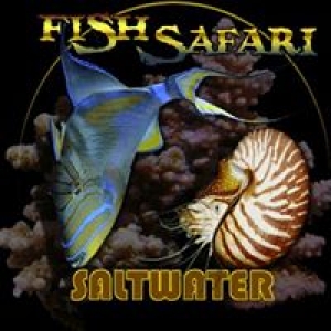 Fish Safari