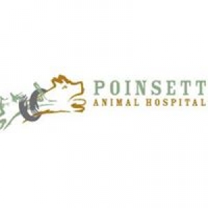 Poinsett Animal Hospital