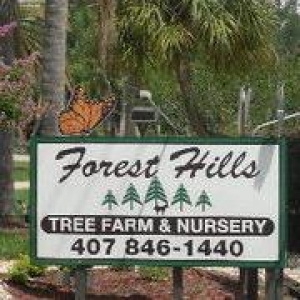 Forest Hills Landscaping and Tree Farm