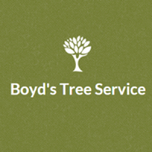 Boyd's Tree