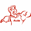 Avis Plumbing & Air Conditioning Inc