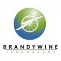 Brandywine Technology