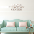 Brazos Pregnancy Clinic