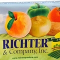 Richter and Company Inc