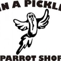 In A Pickle Parrot Shop