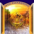 Wise Awakenings
