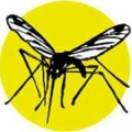 Mosquito Management Systems