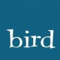 Bird School of Music