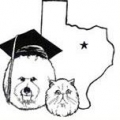 Texas Allbreed Grooming School
