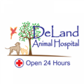 Deland Animal Hospital of Port Orange